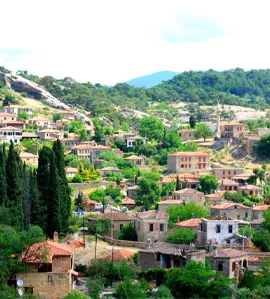 Ayvacık